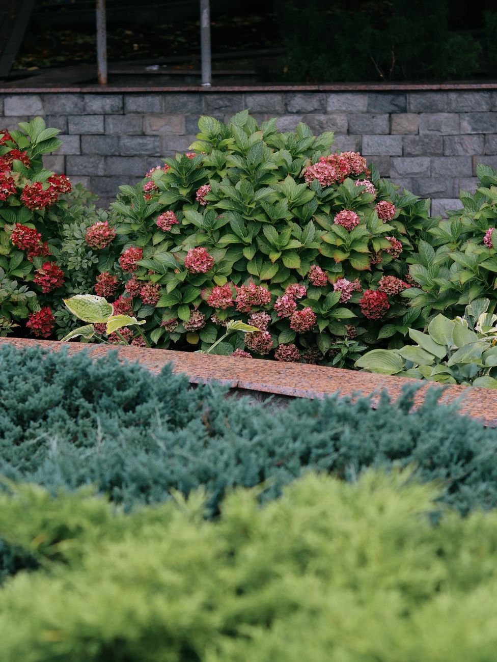 Understanding Plant Nutrients for Healthier Gardens 16 green plants in the garden Understanding Plant Nutrients for Healthier Gardens